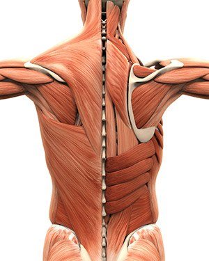 Backpain