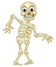 Skeleton