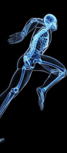 Osteopathic Manipulation Therapy