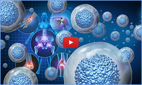 Stem Cells video